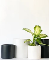 Cercle Plant Pot Collection