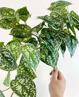 Faux Satin Pothos