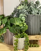 Sebasco Plant Pots