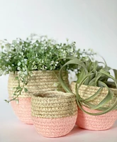 S/3 Betty Plant Baskets