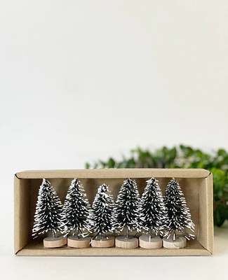 S/6 Mini Bristle Trees