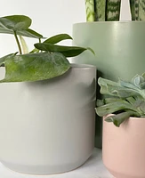 Kendall Pink Pot Collection