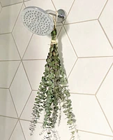 Eucalyptus Shower Bundle