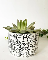 Suzy Plant Pot