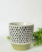 Olive Plant Pot -Green