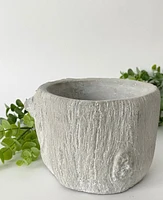 Alder Bark Plant Pot