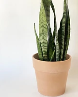 Calima Plant Pot