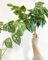 Faux Satin Pothos