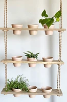 Terre Plant Pots