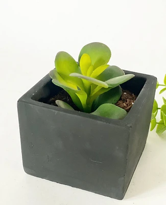 Mini Cement Squared Pot