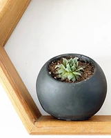 Slanted Orb Pots