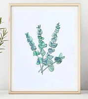 Eucalyptus Bunch Art Print