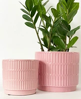 Dolo Plant Pots