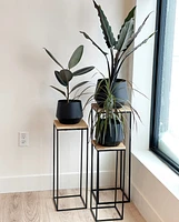 Plant Pedestals