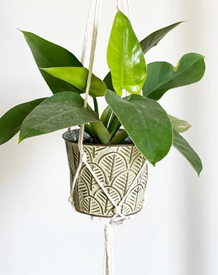 Macrame Plant Hanger