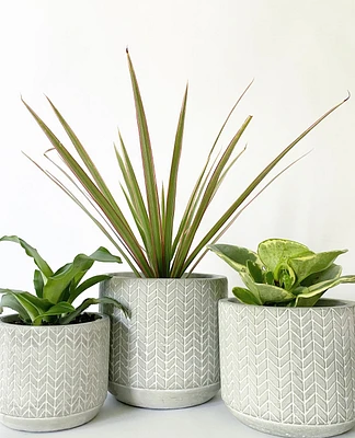 Chevron Plant Pots