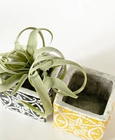 Deco Plant Pot