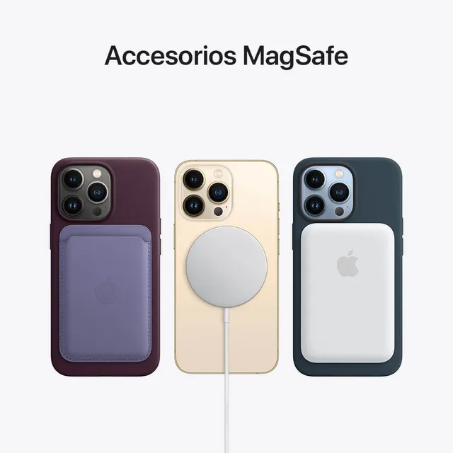 Funda de piel con MagSafe para el iPhone 13 Pro Max - Morado Jacaranda