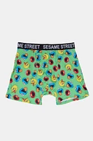 Mens Sesame Street Boxer Brief - Green /