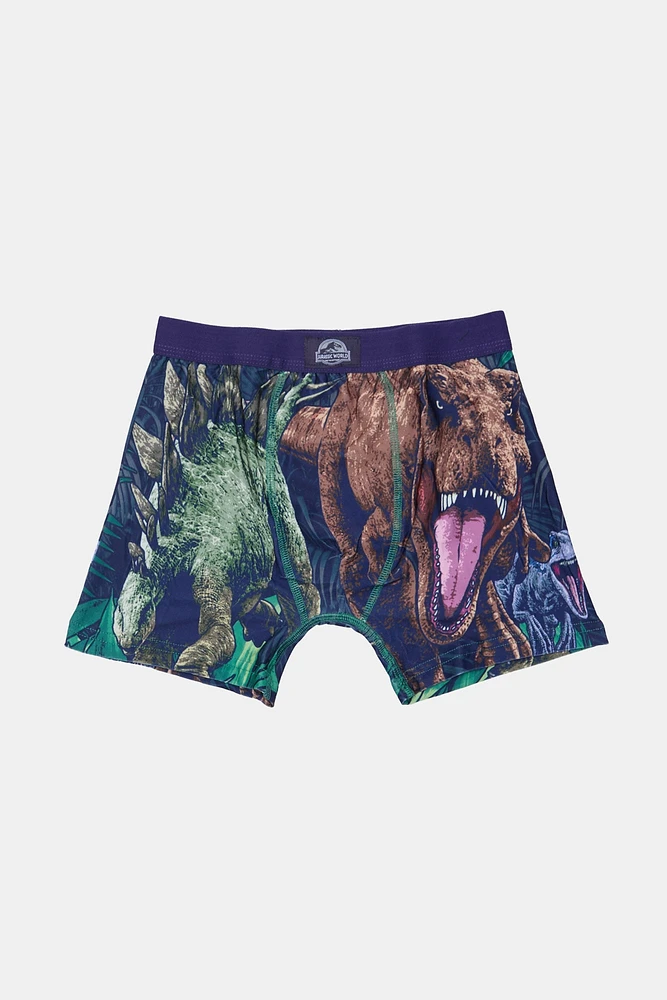 Youth Jurassic World Dinosaur Boxer Brief - Blue /