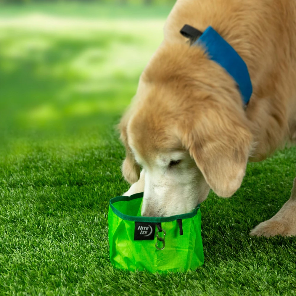 Nite Ize RadDog Collapsible Bowl - Lime