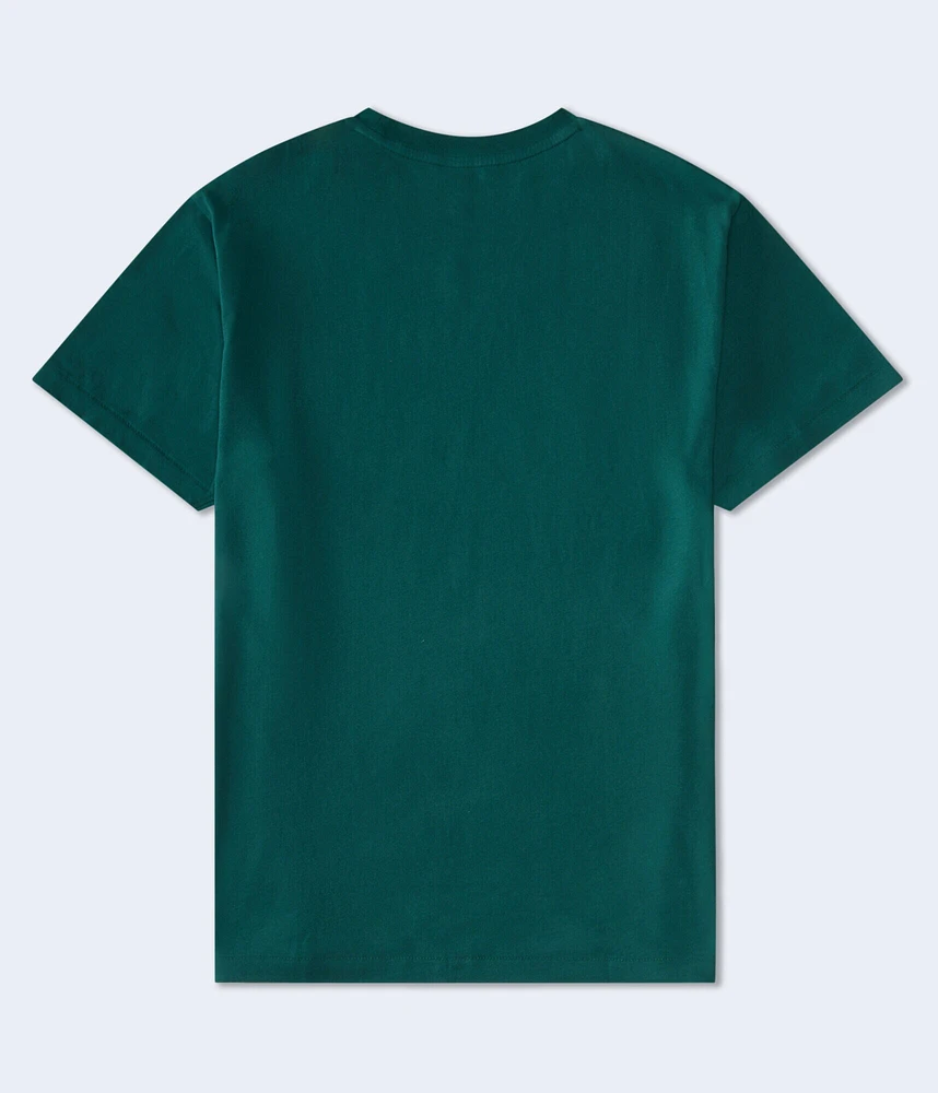 Aeropostale Cali Bear Appliqué Graphic Tee