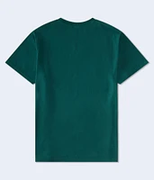 Aeropostale Cali Bear Appliqué Graphic Tee