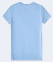 Aeropostale Floral Flocked Graphic Tee