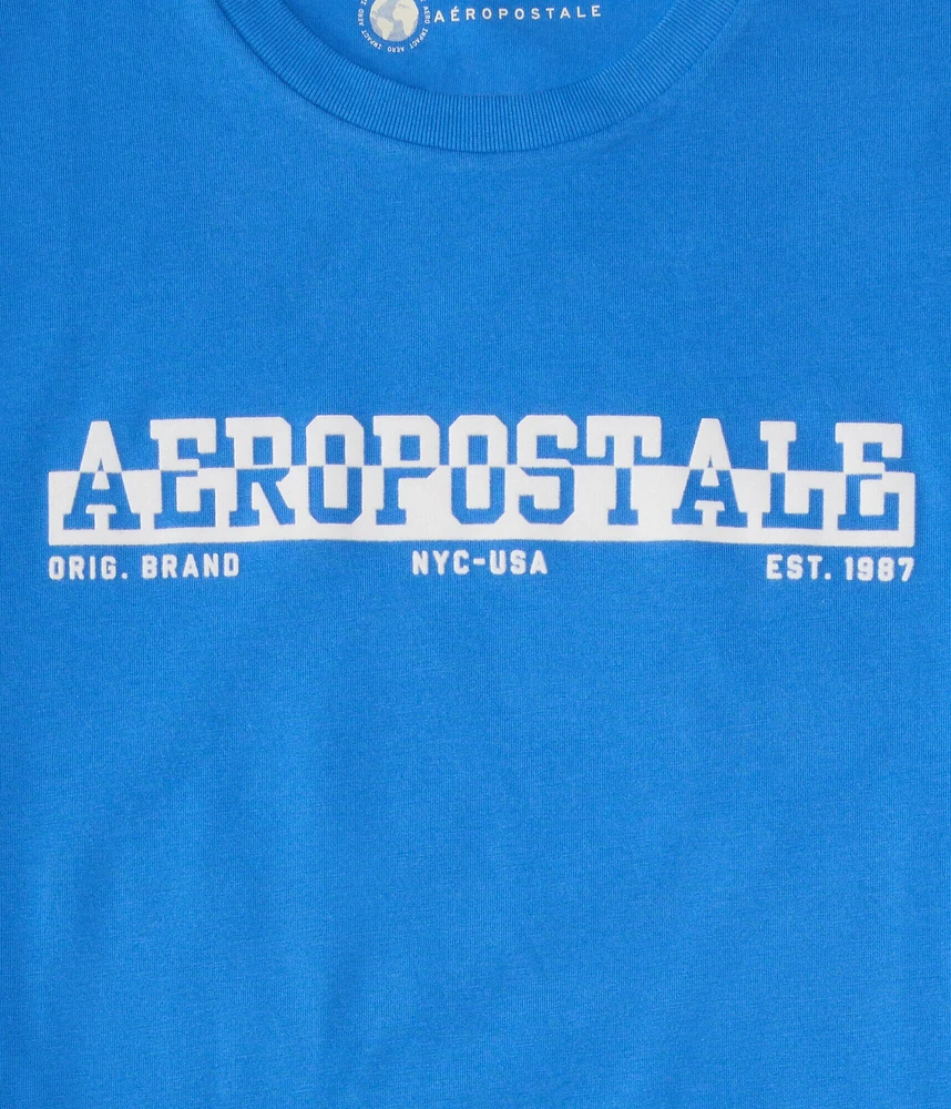Aeropostale Split Logo Flocked Graphic Tee