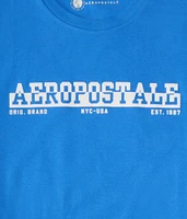 Aeropostale Split Logo Flocked Graphic Tee