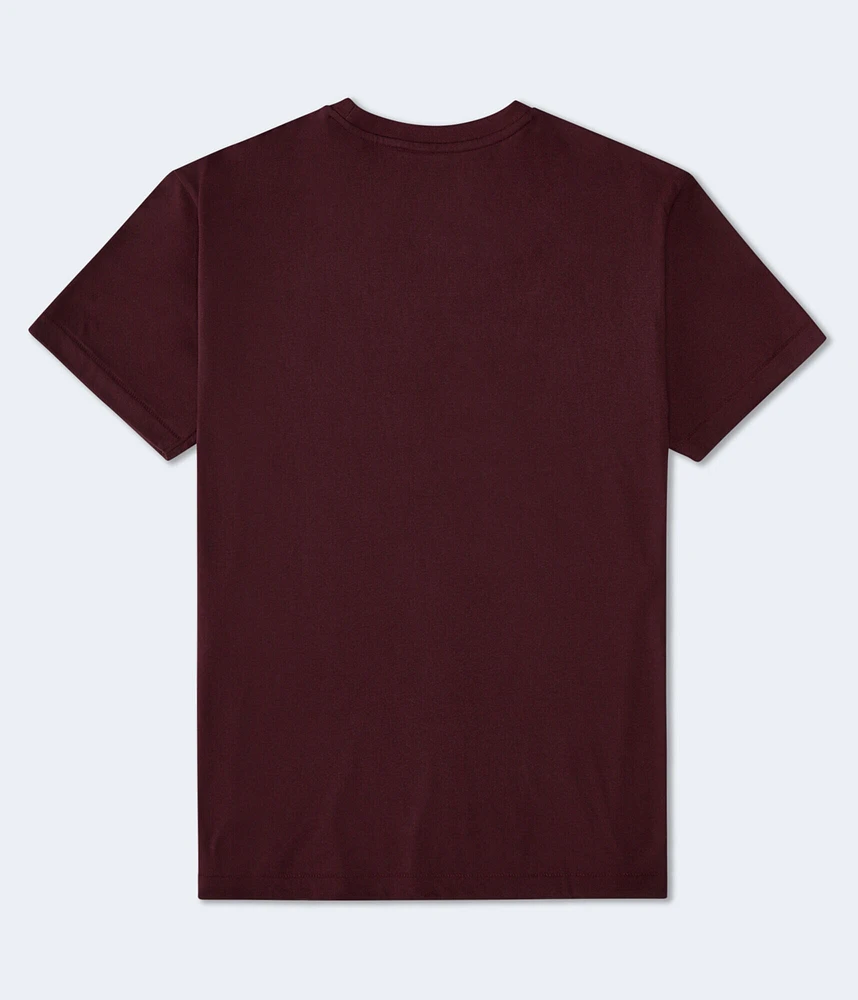 Aeropostale Athletic Division Appliqué Graphic Tee