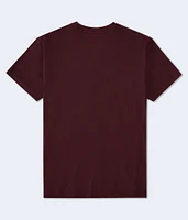Aeropostale Athletic Division Appliqué Graphic Tee