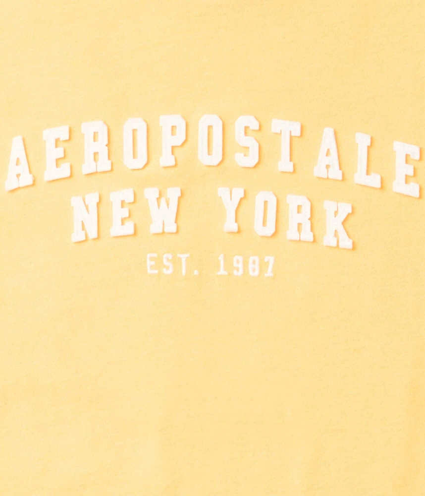Aeropostale Arch Appliqué Graphic Tee