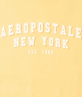 Aeropostale Arch Appliqué Graphic Tee