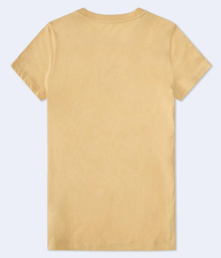 Aeropostale Winged Heart Flocked Graphic Tee