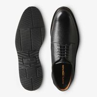 Wanderer Comfort Shoe
