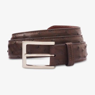 Ostrich Avenue Dress Belt