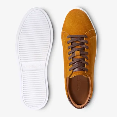 Courtside Suede Sneaker