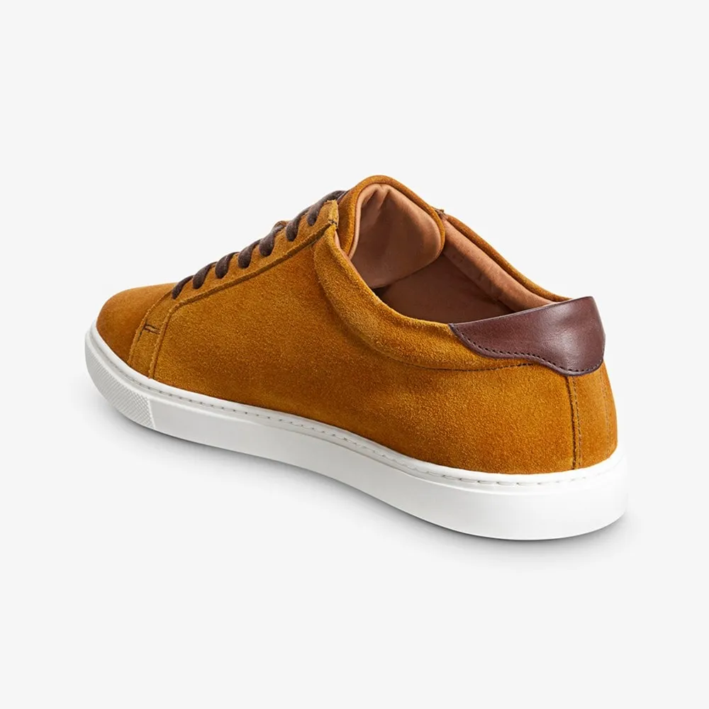Courtside Suede Lace-up Sneaker