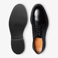 Drake Derby Dress Shoe