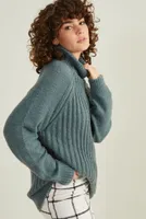 Tara Turtleneck Tunic Sweater