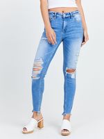 Kaylie Skinny Jeans
