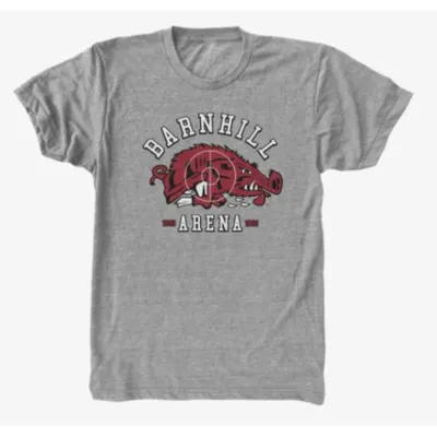 Razorbacks | Arkansas Vault 19nine Barnhill Tee Alumni Hall