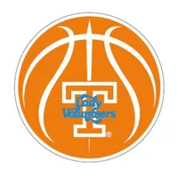 Tennessee Lady Vols 4