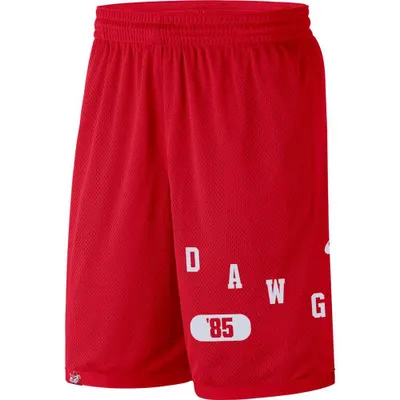 Dawgs | Georgia Nike Men's Dri- Fit Shorts Alumni Hall