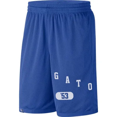 Gators | Florida Nike Men's Dri- Fit Shorts Alumni Hall