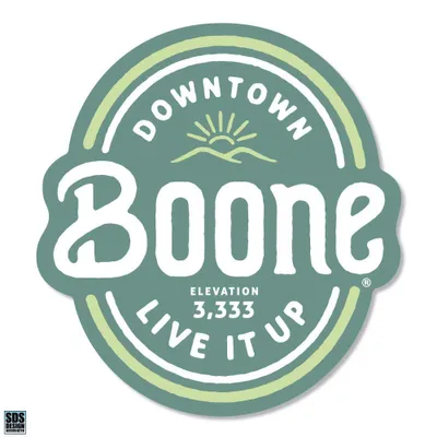  App | Boone 3  Live It Up Vinyl Decal | Alumni Hall