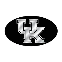 Kentucky Domed Mirror Hitch Cover