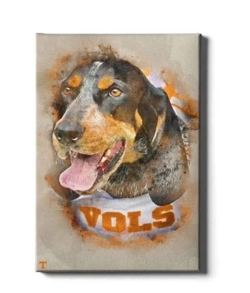  Vols | Tennessee Smokey Watercolor Canvas | Alumni Hall