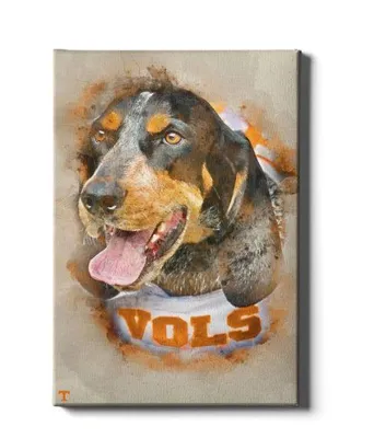  Vols | Tennessee Smokey Watercolor Canvas | Alumni Hall